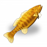 Golden Fish